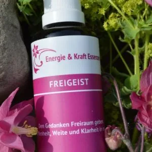 Raumspray Freigeist 50ml