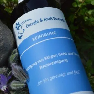 Raumspray Reinigung 100ml
