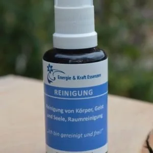 Raumspray Reinigung 30ml