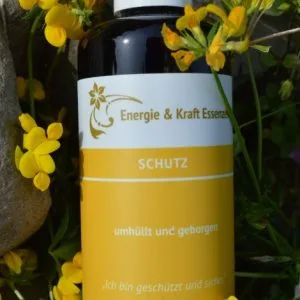 Raumspray Schutz 100ml