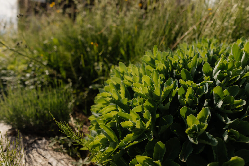 birgit reisch c kirstin hauk 2