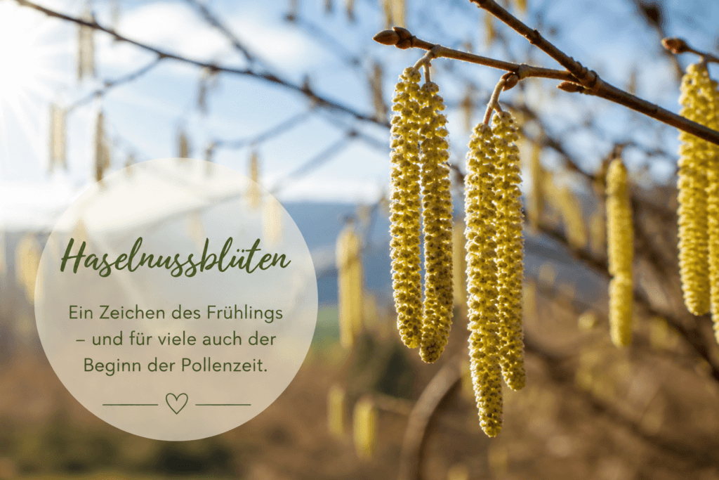 Pollenallergie & Heuschnupfen – natürliche Unterstützung in der Pollenzeit 2 Bild KI generiert